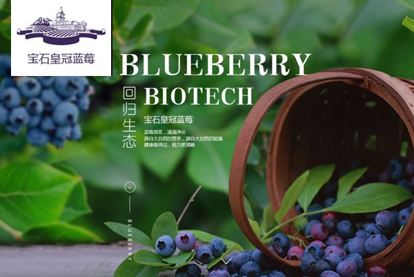 市皇冠蓝莓产业有限公司